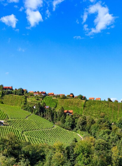 Panoramaansicht Hochgrail | Foto Augenblick | © Schilcherland Steiermark
