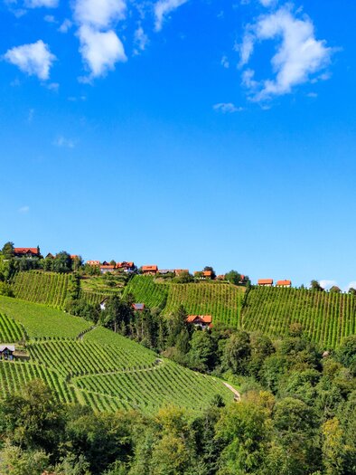 Panoramaansicht Hochgrail | © Schilcherland Steiermark