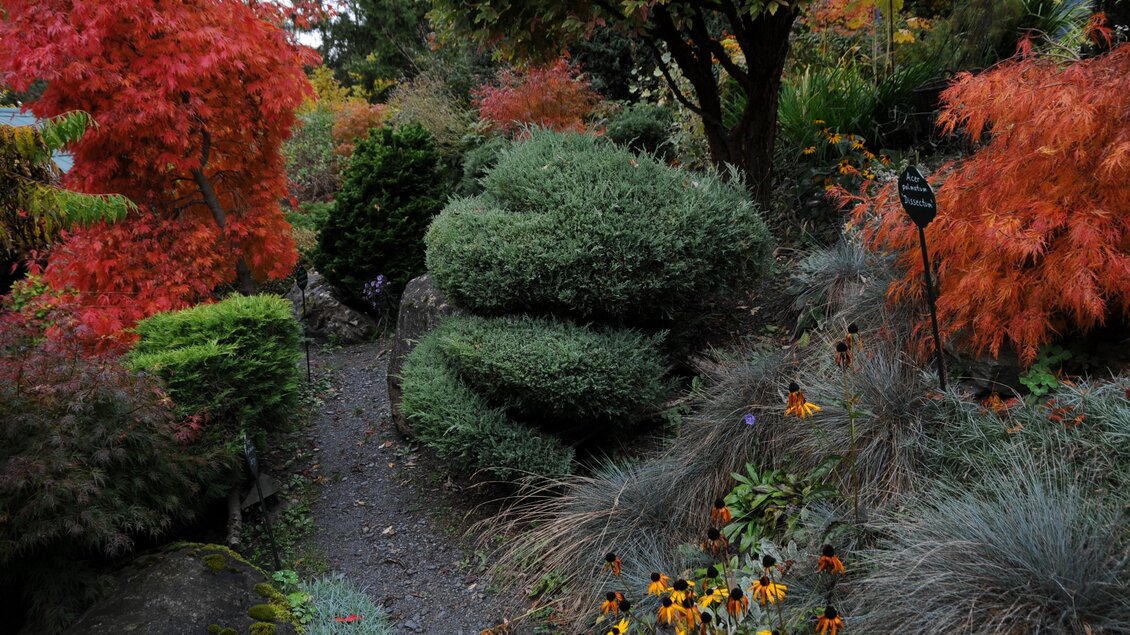 Sulamith Garten_Ahorn_Oststeiermark_Sichart | © Sissy Sichart