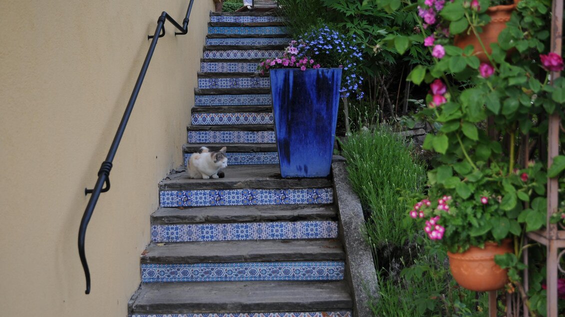 The hanging Gardens of the Sulamith - Impressionen #2.11