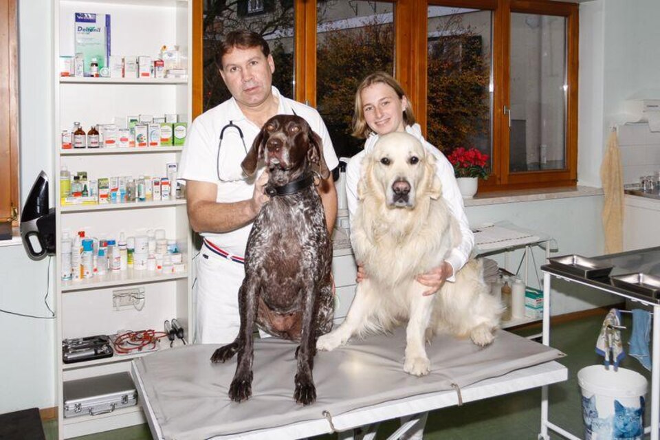 Dipl.Tzt. Gerald Lamprecht - Impression #1