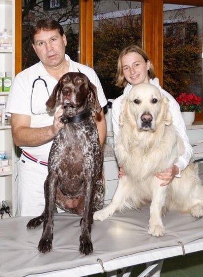 Ein Tierarzt und eine Helferin stehen in einer Tierarztpraxis. Sie haben zwei Hunde, einen braunen und einen weißen, auf einem Behandlungstisch.