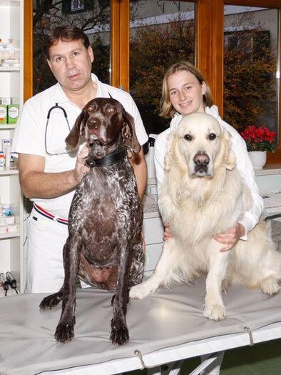 A veterinarian and an assistant are standing in a veterinary practice. They have two dogs, one brown and one white, on an examination table.