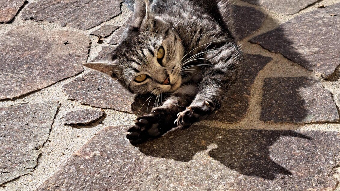 Direktvermarktung Gradischnig - Impressionen #2.22