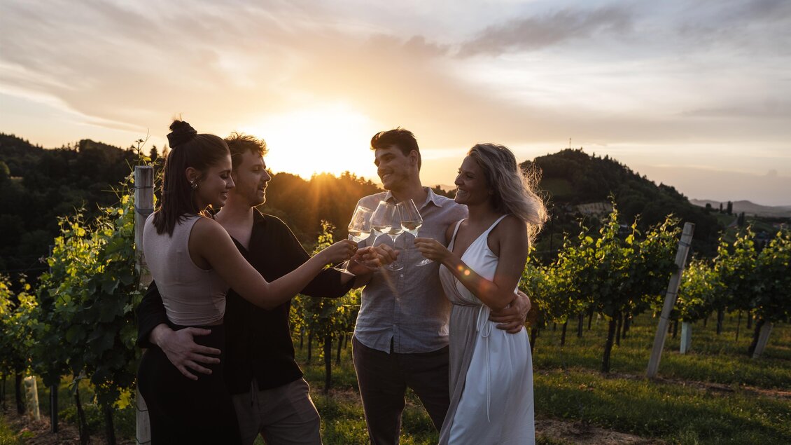 Wein | © tv suedsteiermark_lukas elsneg.j