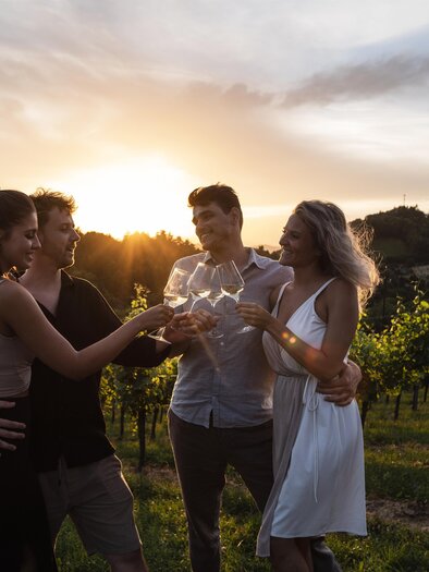 Wein | © tv suedsteiermark_lukas elsneg.j