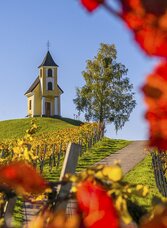 Dreisiebner Kapelle. | © Maggy & Georg Dreisiebner | Weinbau Dreisiebner | Maggy & Georg Dreisiebner | © Maggy & Georg Dreisiebner | Weinbau Dreisiebner