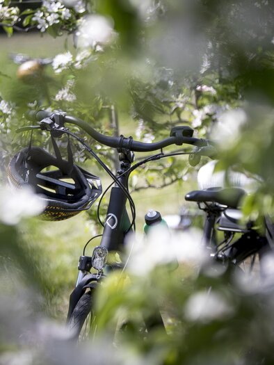 Radfahren_Oststeiermark | ©  Steiermark Tourismus