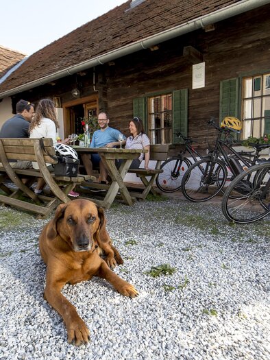 House de Apfels_Rast_Eastern Styria | © Steiermark Tourismus