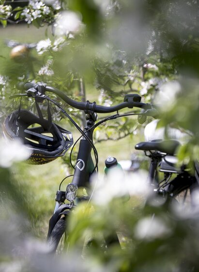 Cycling_Eastern Styria | Tom Lamm | © Steiermark Tourismus