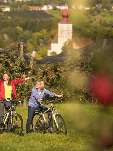 Wirtshaus Meißl_Biking_Eastern Styria | © Wirtshaus Meißl