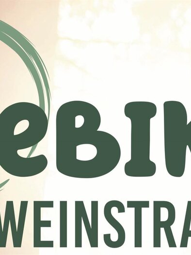 E-Bike Verleih Rohrer | © Oliver Haring