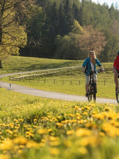 Radfahren_Oststeiermark_Bergmann | © Tourismusverband Oststeiermark | Bernhard Bergmann | © Tourismusverband Oststeiermark
