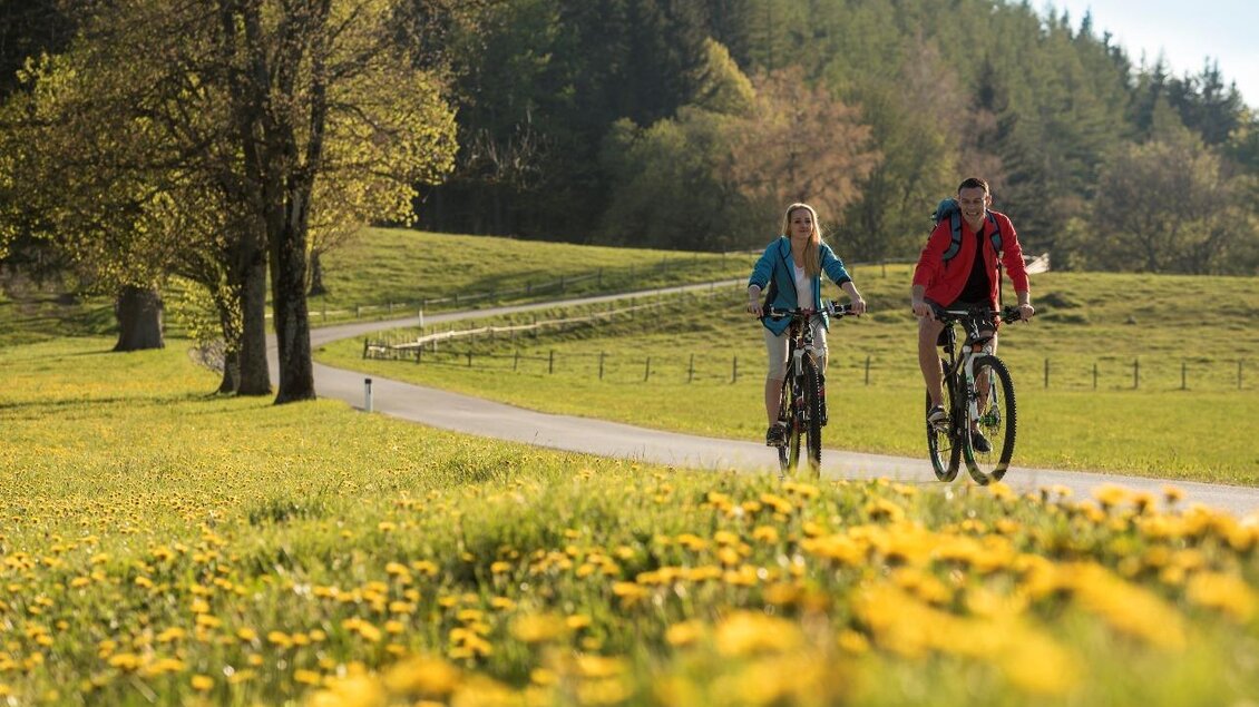 Radfahren_Oststeiermark_Bergmann | © Tourismusverband Oststeiermark
