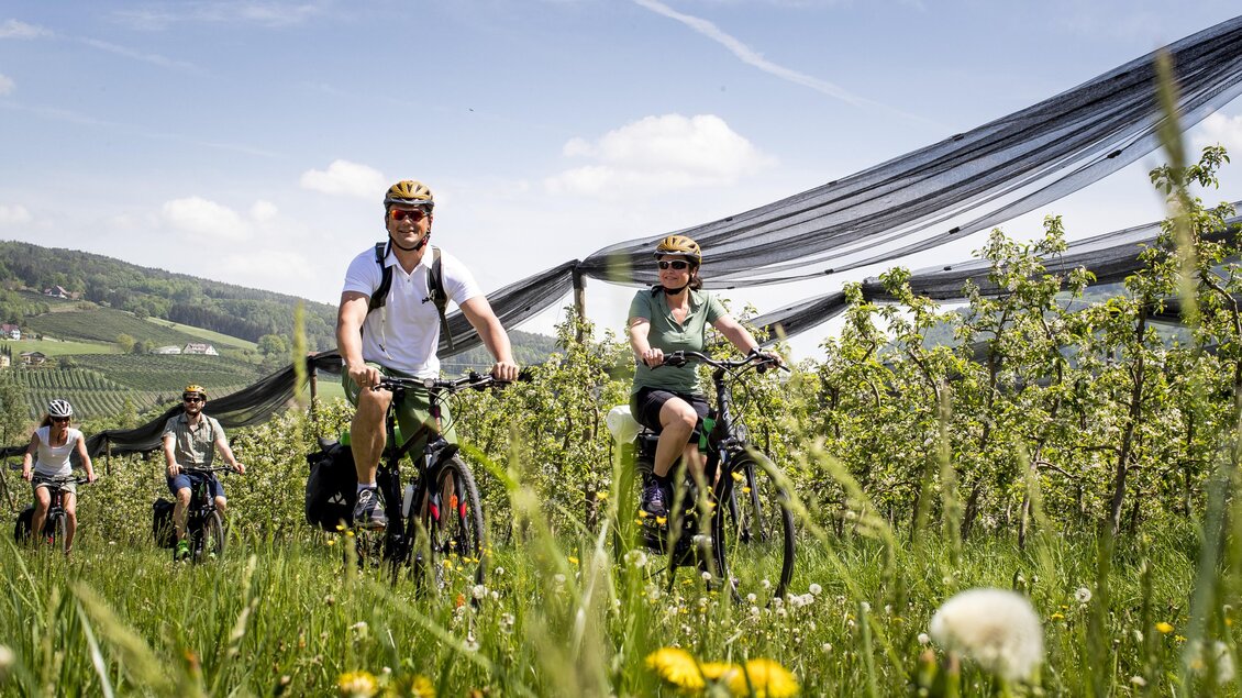 Hotel Angerer-Hof_Radfahren_Oststeiermark | © Steiermark Tourismus