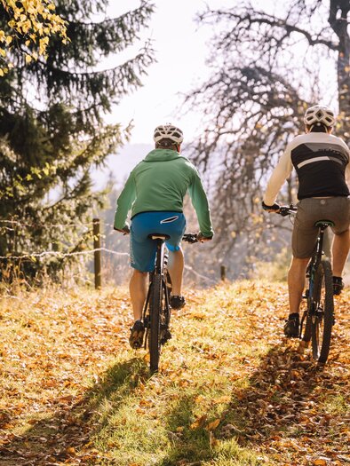 E-bike rental_cyclist on forest path_Eastern Styria | © Tourismusverband Oststeiermark