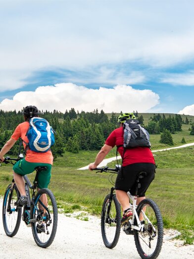 E-Bike rental_biker to the Hochwechsel_Eastern Styria | © Region Joglland - Waldheimat | Kurt Elmleitner | © Region Joglland - Waldheimat