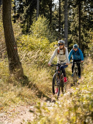 E-bike rental_biker in the forest_Eastern Styria | © Tourismusverband Oststeiermark