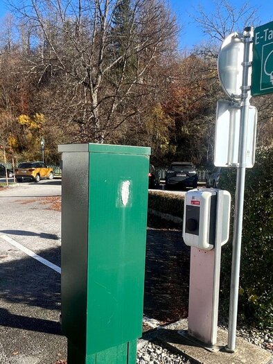 A field of tall grasses, illuminated by the evening sun. The atmosphere is calm and peaceful. | © TVB Ausseerland- Salzkammergut_Nathalie Schröttenhamer