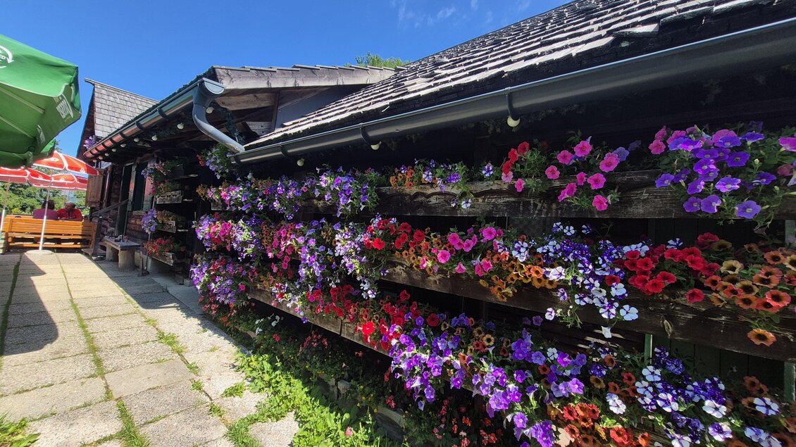 Ein traditionelles Gebäude mit bunten Blumen in Kisten. Der Himmel ist klar und blau.