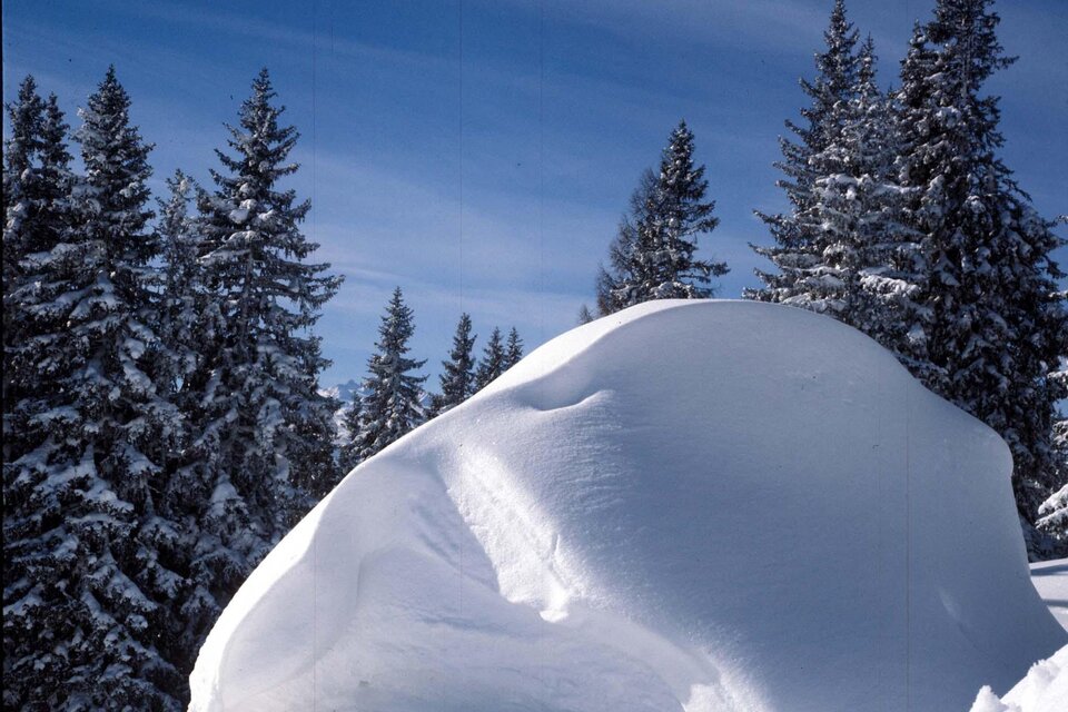 Ice Curling Track Gasthaus Wies´n - Impression #1 | © TVB Ausseerland - Salzkammergut_Pirker
