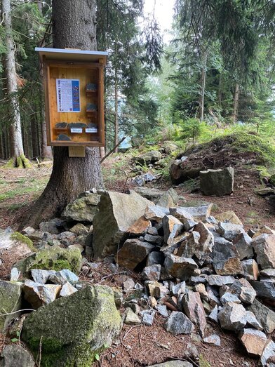 Eklogit | © Alexandra Wippel | Alexandra Wippel | © Alexandra Wippel