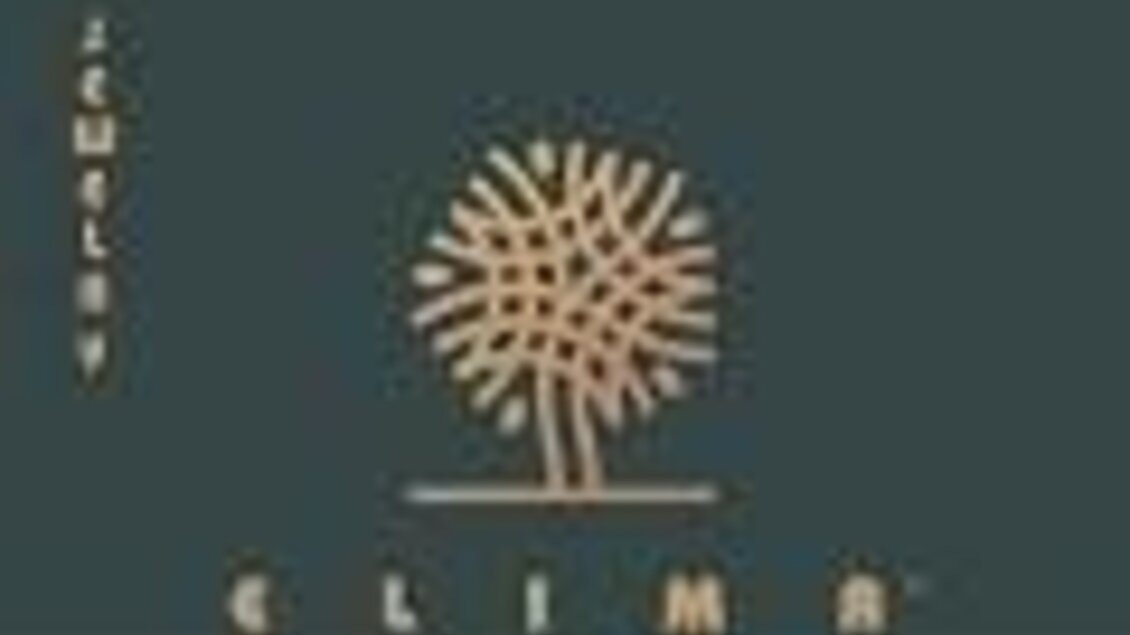 Ein modernes Logo mit einem stilisierten Baum in goldener Farbe. Der Hintergrund ist dunkelgrün, was dem Design einen eleganten Touch verleiht.