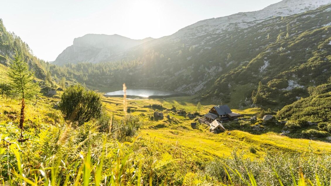 Pühringerhütte, Grundlsee, Richtung Elmsee | © Pühringerhütte