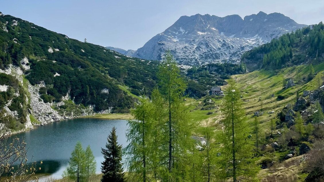 Eine malerische Berglandschaft mit grünen Bäumen und einem klaren See. Im Hintergrund erheben sich majestätische Berge mit schneebedeckten Spitzen. | © Pühringerhütte