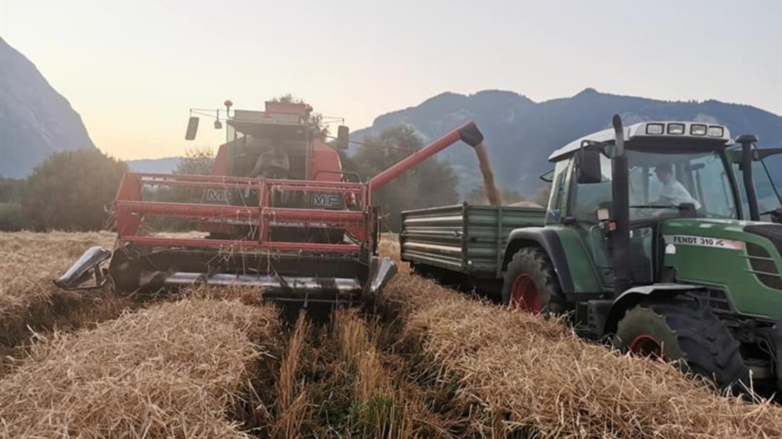 Eine Landmaschine erntet Getreide auf einem Feld. Im Hintergrund sind Berge und ein sanfter Sonnenuntergang zu sehen.