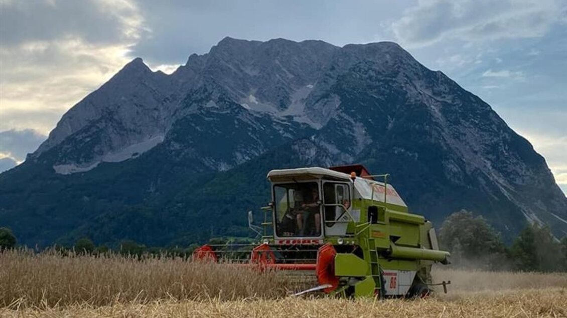 Ein Mähdrescher erntet auf einem Feld im Vordergrund. Im Hintergrund erhebt sich ein majestätischer Berg unter einem bewölkten Himmel.