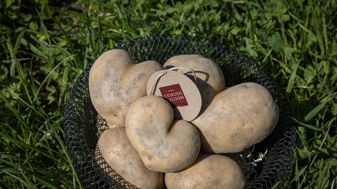 Ein Korb voller knolliger Kartoffeln liegt auf grünem Gras. An einer Kartoffel hängt ein Etikett mit der Aufschrift "Genuss Region". | © Netzwerk Kulinarik Wildbild