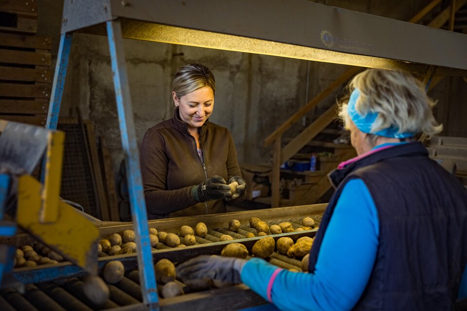 Ennstaler Erdäpfel - Familie Gindl - Impression #1 | © Netzwerk Kulinarik Wildbild
