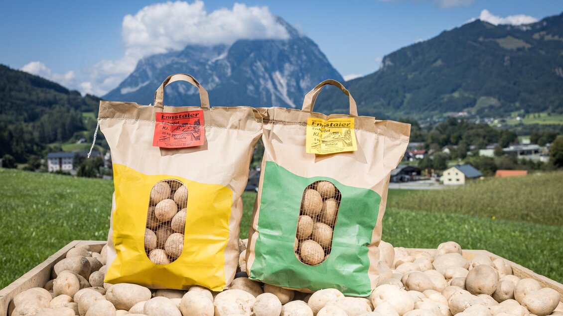 Zwei Taschen mit Kartoffeln stehen auf einem Holztisch, umgeben von weiteren Kartoffeln. Im Hintergrund sind grüne Berge und ein blauer Himmel zu sehen. | © Netzwerk Kulinarik Wildbild