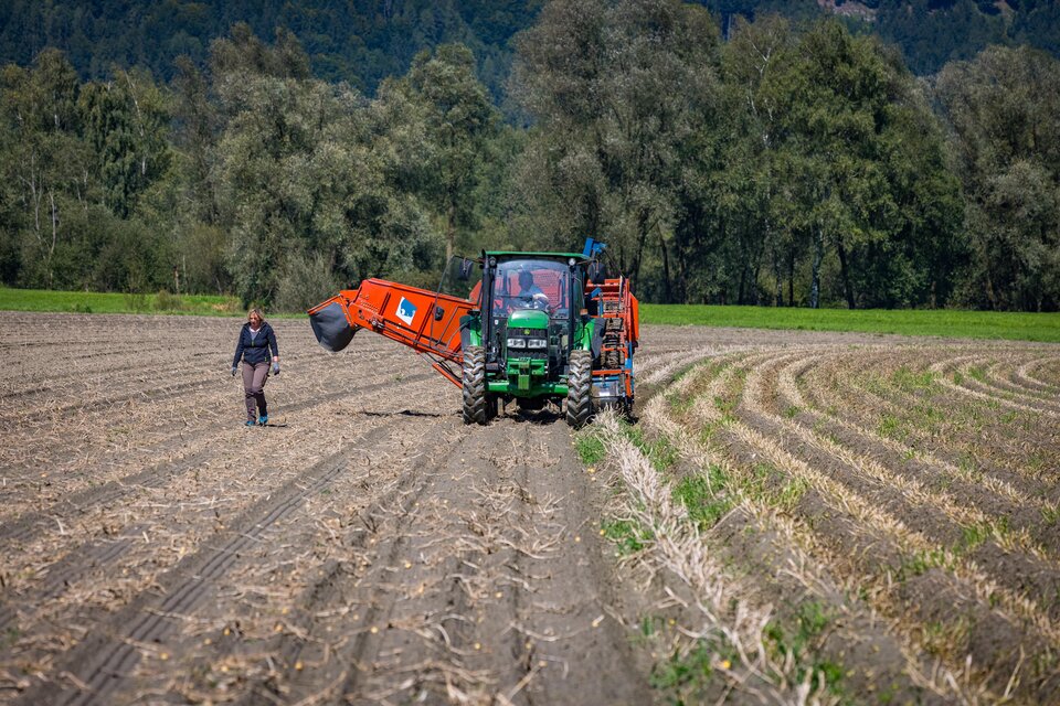 Ennstal potatoes - Gerl family - Impression #1 | © Netzwerk Kulinarik wildbild