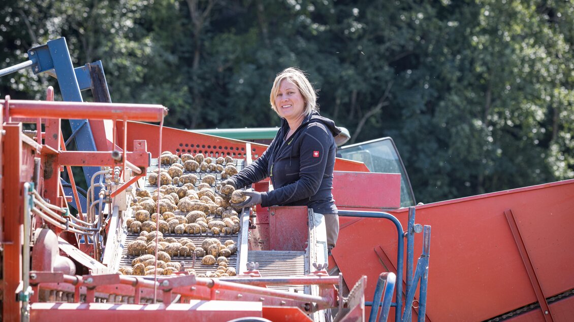 Eine Frau arbeitet an einer Maschine zur Kartoffelernte. Die Maschine ist mit frischen Kartoffeln beladen und es ist ein grüner Hintergrund zu sehen. | © Netzwerk Kulinarik wildbild