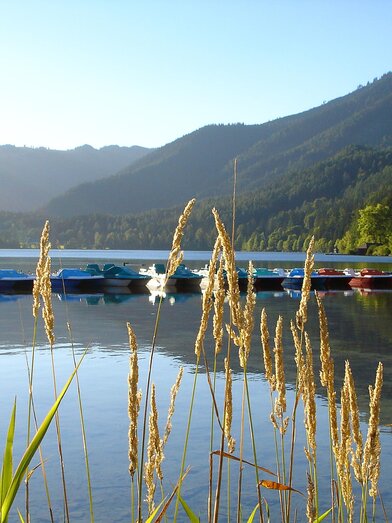Erlaufsee Sommer | © TV Hochsteiermark | Fred Lindmoser | © TV Hochsteiermark