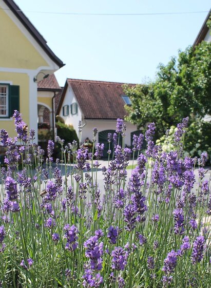 Genusshof | © Farmer Rabensteiner | Farmer Rabensteiner | © Farmer Rabensteiner