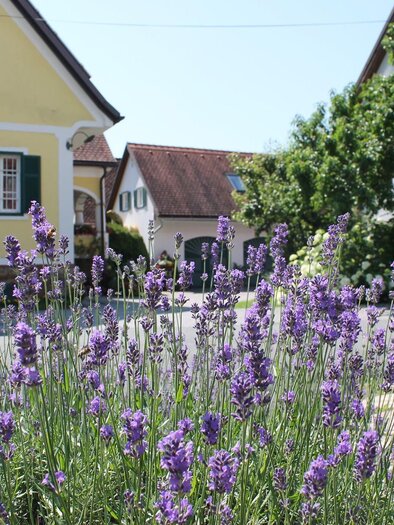 Genusshof | © Farmer Rabensteiner