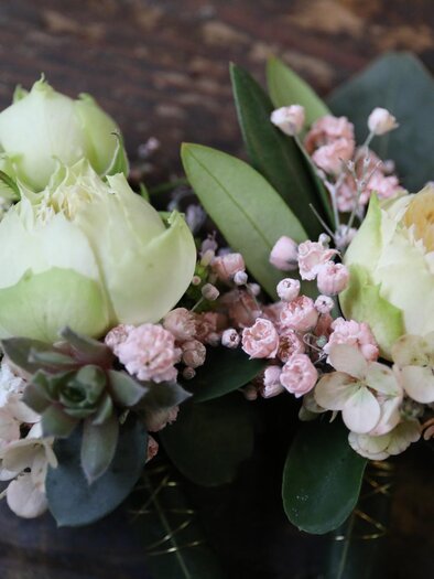 Gärtnerei Steffan | © Gärtnerei Steffan