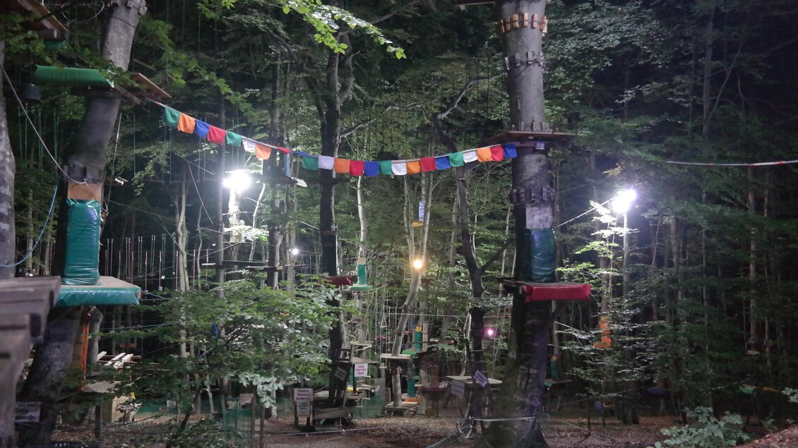 Ein geheimnisvoller Wald bei Nacht, beleuchtet von bunten Lichtern. Über den Baumstämmen hängen kleine bunte Fähnchen. | © Waldseilgarten Geier