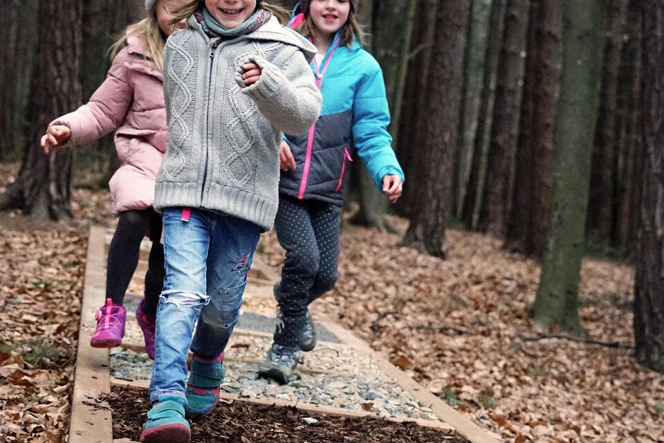 Adventure Forest Weiz  - Impression #1 | © Tourismusverband Oststeiermark