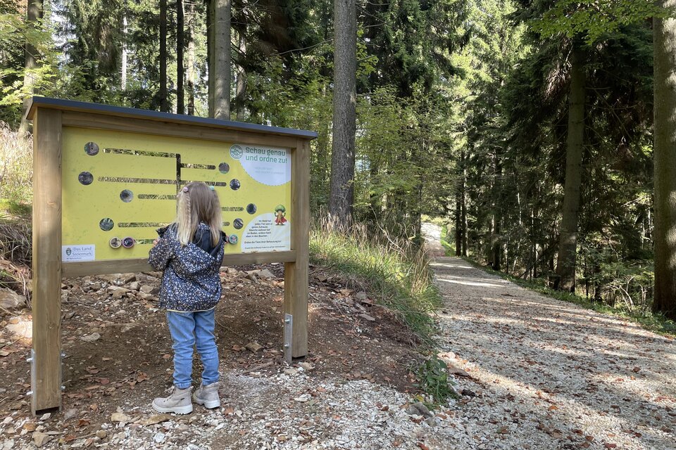 Erlebnisweg Masen.Berg. - Impression #1 | © Osteiermark Tourismus, Manuela Schnur