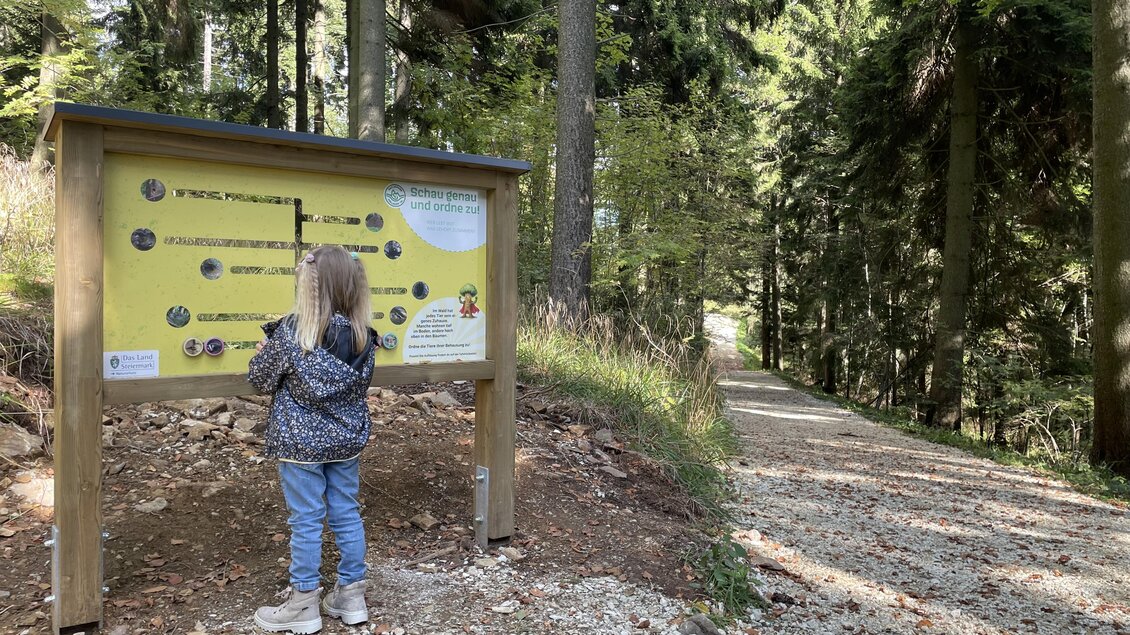 Ein Kind steht vor einem Informationsschild im Wald. Der Weg führt durch die Bäume und lädt zum Spazieren ein. | © Osteiermark Tourismus, Manuela Schnur