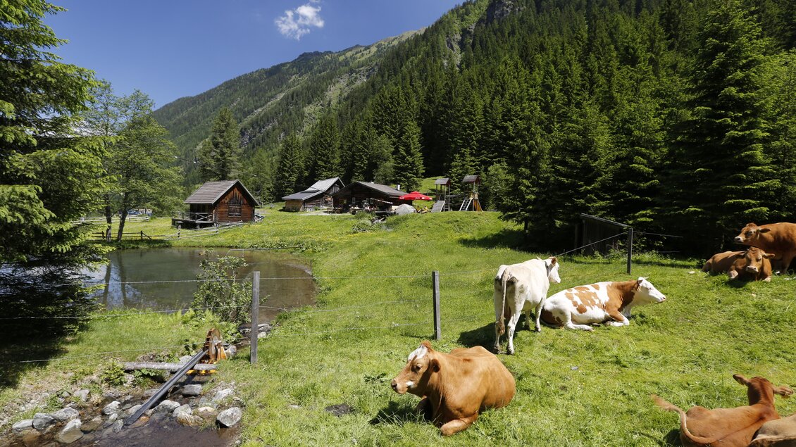 Eine idyllische Berglandschaft mit Kühen auf einer grünen Wiese. Im Hintergrund sind Holzgebäude und Bäume zu sehen. | © Herbert Raffalt