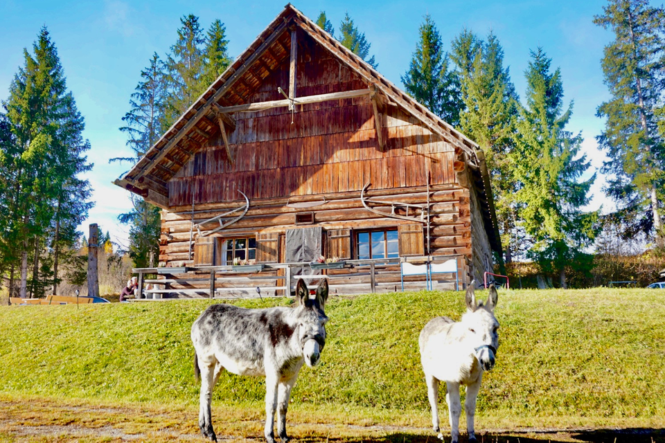 Eselalm - Impression #1 | © Eselalm