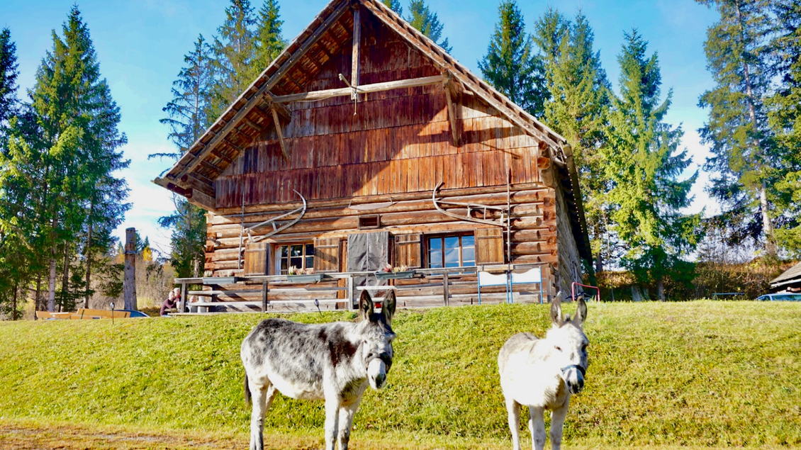 Ein traditionelles Holzhaus umgeben von Bäumen. Zwei Esel stehen auf der Wiese vor dem Haus. | © Eselalm