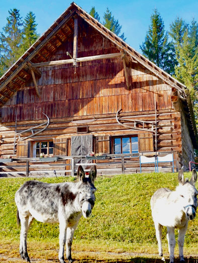 Ein traditionelles Holzhaus umgeben von Bäumen. Zwei Esel stehen auf der Wiese vor dem Haus. | © Eselalm