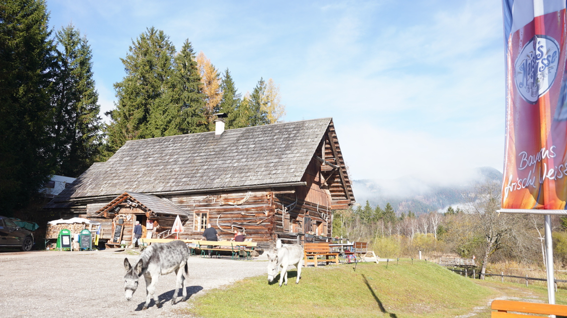 Ein gemütliches Holzhaus umgeben von Bäumen und Wiesen. Zwei Esel grasen friedlich im Vordergrund. | © Eselalm