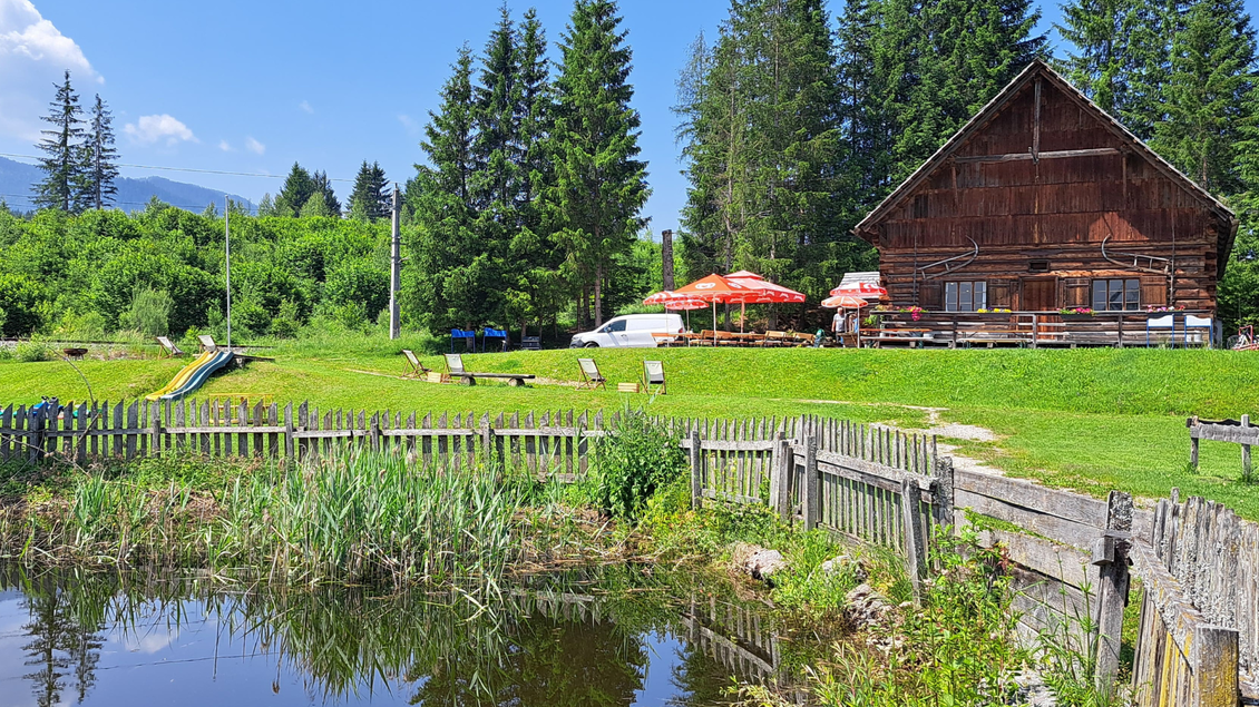 Eine schöne Wiese mit einem rustikalen Holzhaus im Hintergrund. Vor dem Haus befinden sich Terrassen mit roten Sonnenliegen und ein kleiner Teich. | © Eselalm